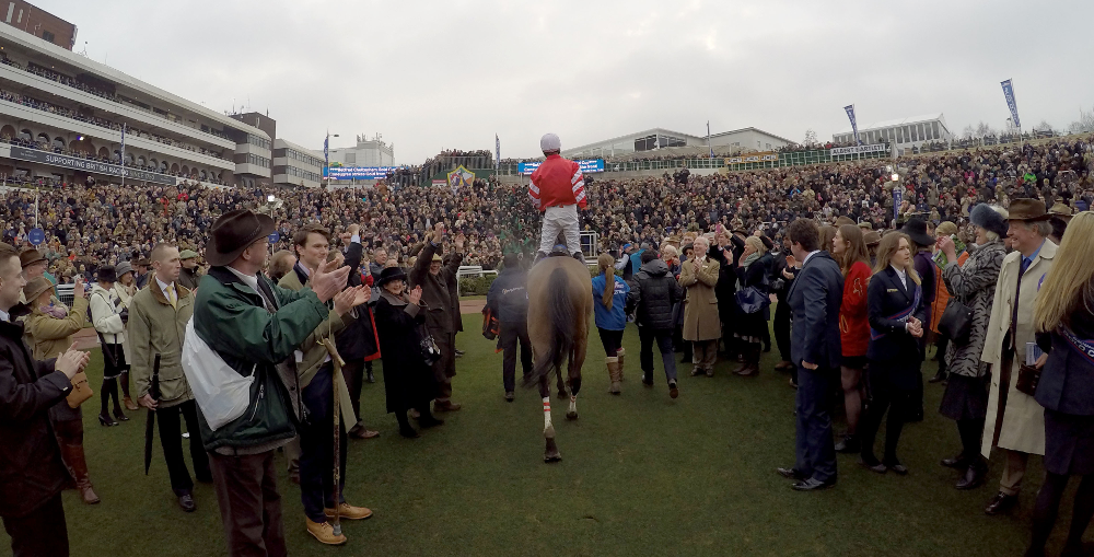 cheltenham festival guide cheltenham festival guide